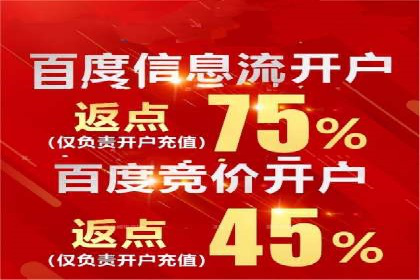 百度优化推广案例研究：如何提高网站转化率